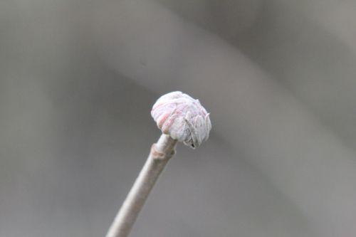 4 romi 16 fév 2013 116.jpg