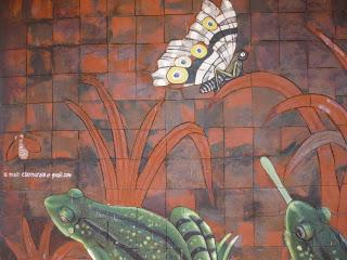 04 | Parc national de Mudumalai et Réserve de Bandipur