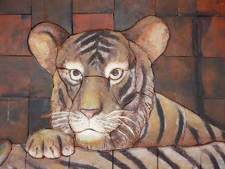 04 | Parc national de Mudumalai et Réserve de Bandipur