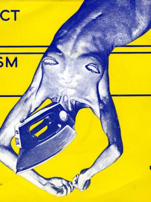 buzzcocks-linder-sterlling-small