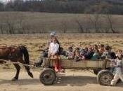 chevaux roumains disparaissent