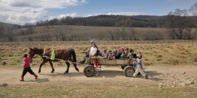 Les chevaux roumains disparaissent chevaux-roumanie.jpg
