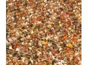 Tempête Dans Verre D’Eau Rhume
