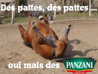 panzani-des-pattes-cheval.jpg