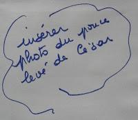 Soirée des Césars 2013 sans surprise et marquée par le cumul