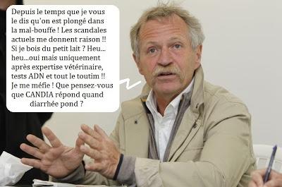 EN BOVÉ : CHEVAUX OU EMBAUCHER BOEUFS, VEAUX ?