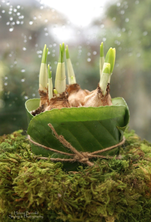 Cette semaine sur la toile