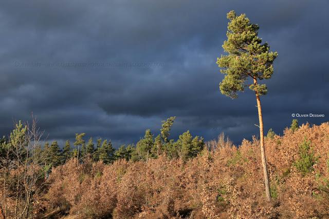 L'orage gronde...