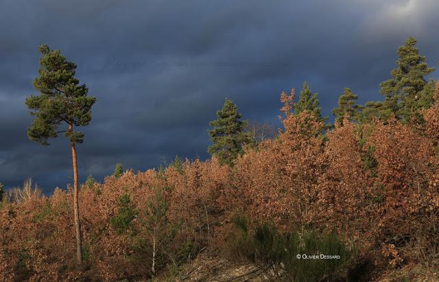 L'orage gronde...