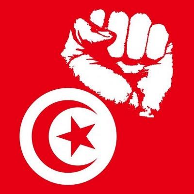 jasmine revolution Tunisie: «La révolution du jasmin était une manipulation du Qatar et des Etats Unis »