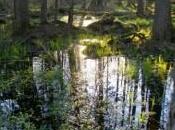 Morceaux choisis Thérèse Jésus