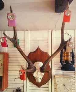 734377_10151341017258121_1900951601_n