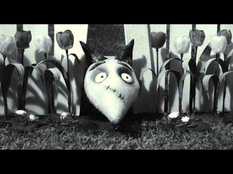 Image de prévisualisation YouTube