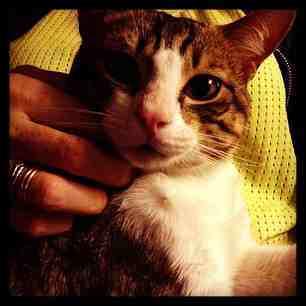 f863344a811a11e2b16122000a1f9e61_6