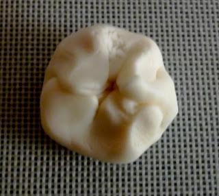 P66 - Perles de coco