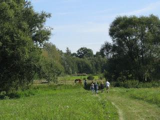Se recueillir par Christiane Rancé (5)