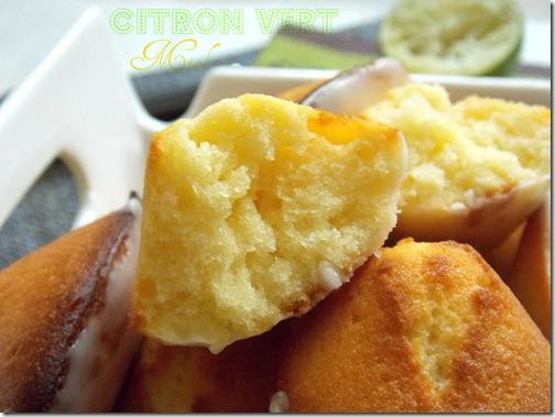 madeleines-facile-citron-miel