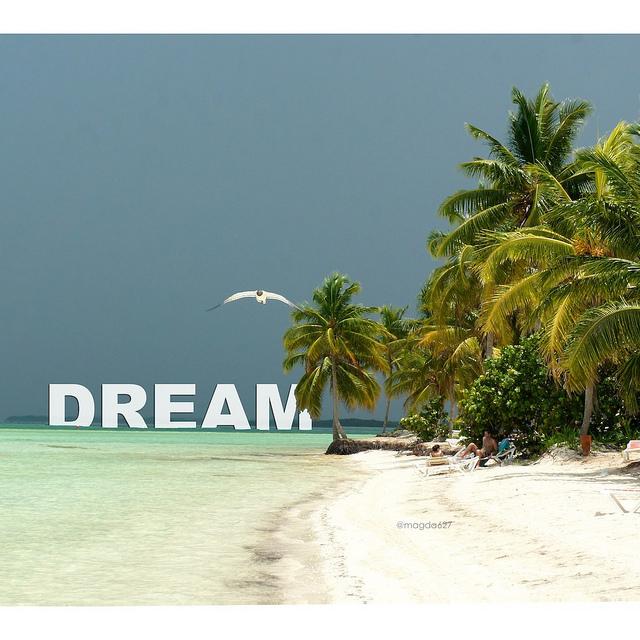 anteketborka.blogspot.com, dream