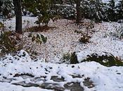 Prophétes prophéties