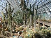 Roland-Garros Delanoë Hidalgo reçoivent terrible coup raquette crâne