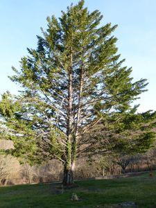 arrivée au Calfour 001