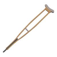 La béquille d'un président faible