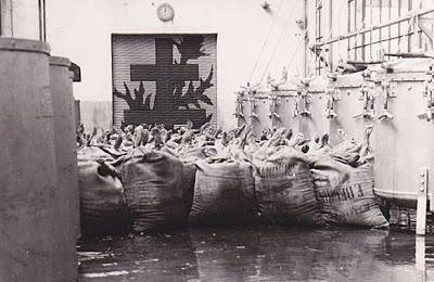 Qui s'y frotte s'y pique (248)