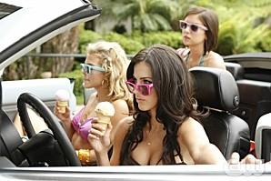 90210-car-group-shot.jpg