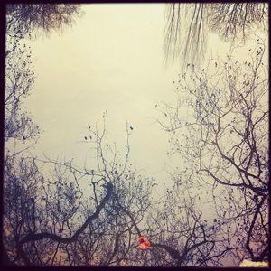 Challenge photo Instagram - #1 - Fat Mum Slim Photo a Day 2013-01-30_1359584233