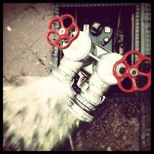 Challenge photo Instagram - #1 - Fat Mum Slim Photo a Day 2013-01-11_1357930251