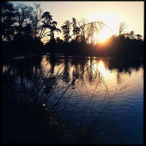 Challenge photo Instagram - #1 - Fat Mum Slim Photo a Day 2013-01-25_1359139326