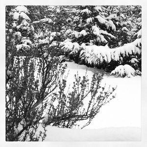 Challenge photo Instagram - #1 - Fat Mum Slim Photo a Day 2013-01-20_1358676838