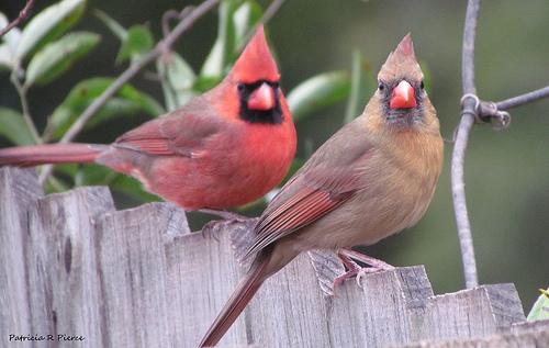 6503948021 584c39b799