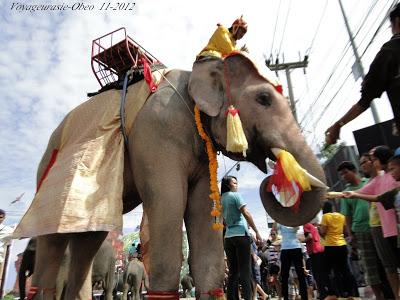 Thaïlande, l'éléphant menacé par les attractions touristiques