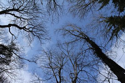 C'est pas vraiment le printemps...