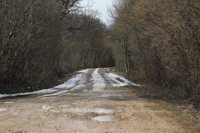 C'est pas vraiment le printemps...