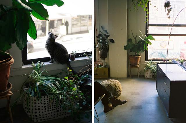 Déco jungalow à L.A