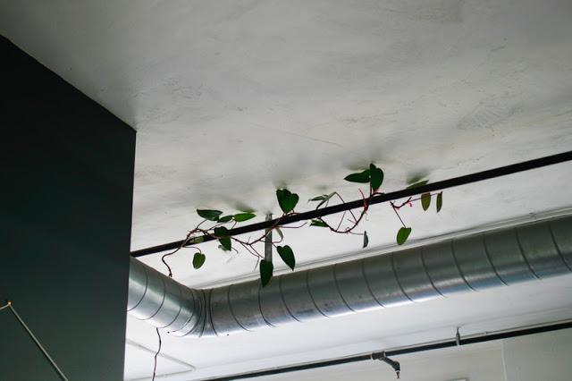 Déco jungalow à L.A