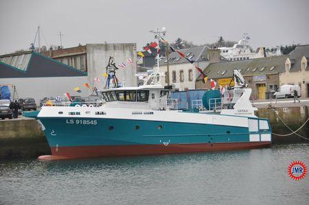 Cayola L S 5-918545 (a)