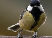 Petite pensée d'un dimanche matin