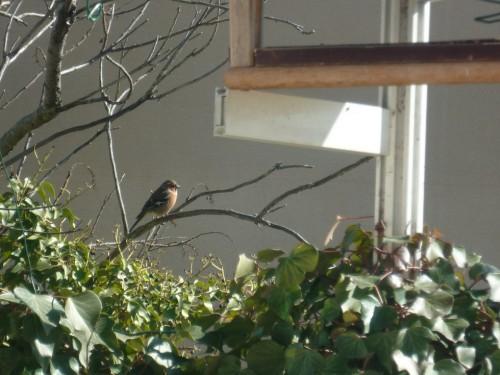 citations,proverbes,temps,société