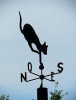 MINIMAL MANIAC #5 MINIMAL MANIAC #5