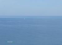 MINIMAL MANIAC #5 MINIMAL MANIAC #5