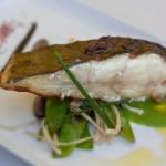 L’hôtel décalé Viura, Espagne