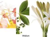 Rasage homme ayurvéda