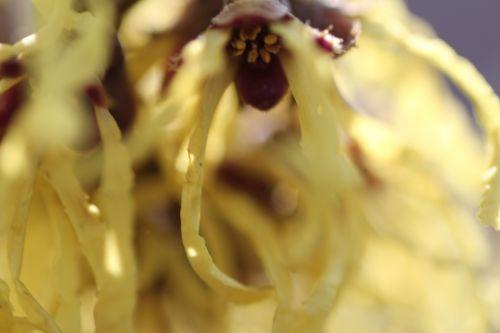 4 arnold romi 3 mars 2013 095.jpg