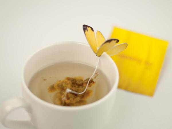Un petit papillon à thé