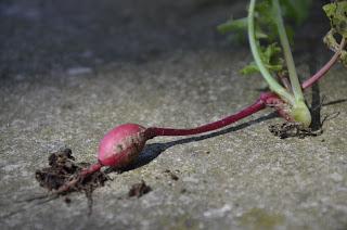 MES PROJETS CRAFTS 2012