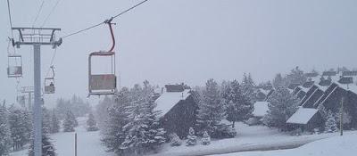 Écoutez le spécialiste