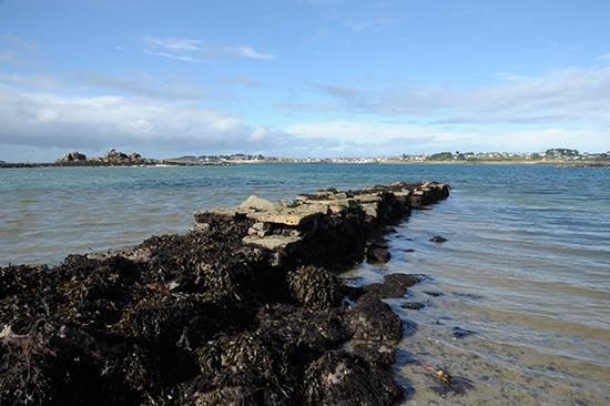 Le très très vieux port de Roscoff